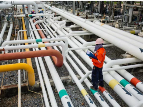 P.Eng. and P.E. Stamping and Certification